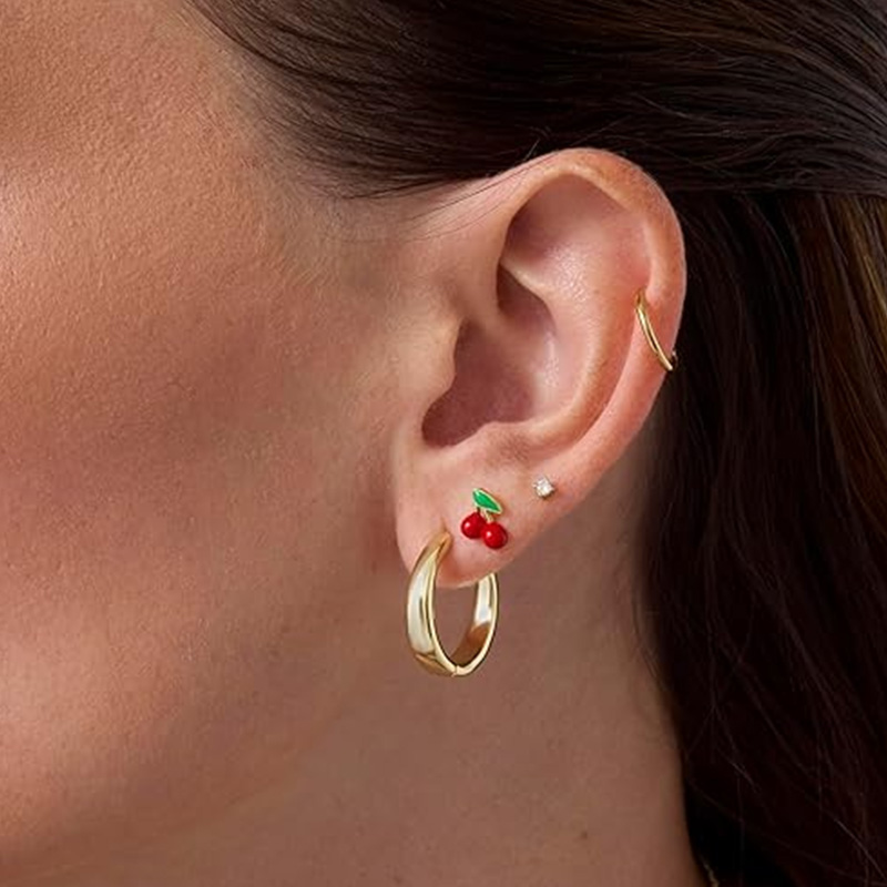 2 個軟骨イヤリングスタッド女性のためのサージカルスチールフ - Body Jewelry Surgical Steel のレビューと価格